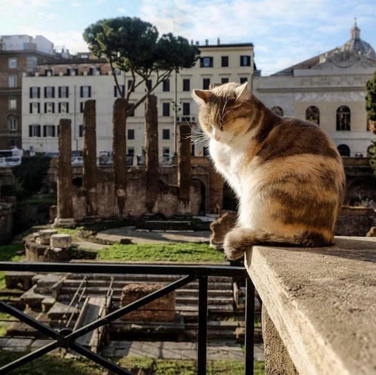 Ancient Roman Mansion Apartment